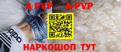 гашик Берёзовский