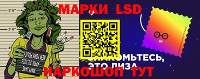 гашик Берёзовский