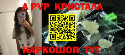 гашик Берёзовский
