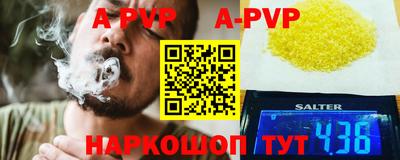 гашик Берёзовский