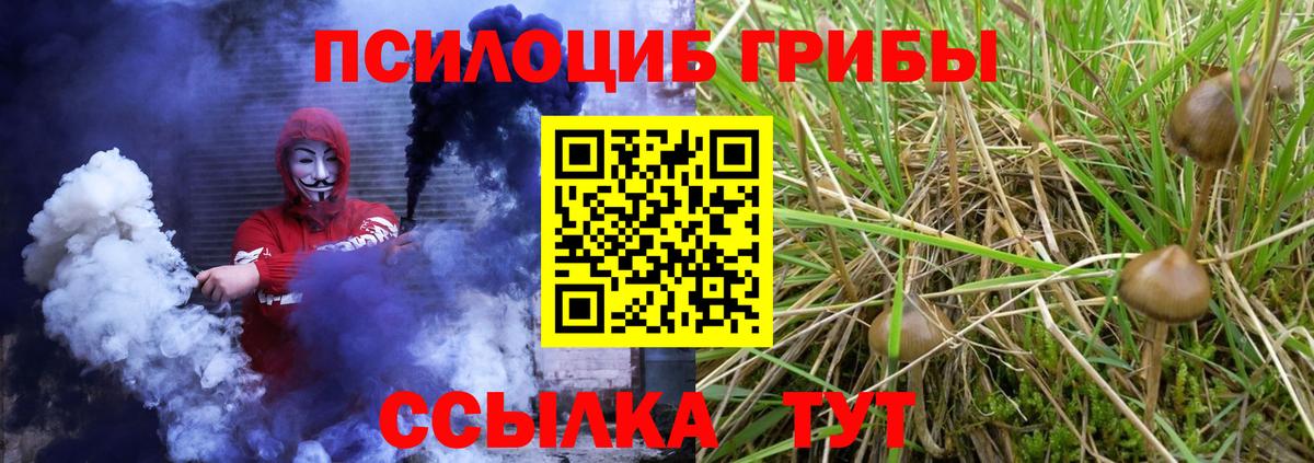Галлюциногенные грибы Magic Shrooms Канаш